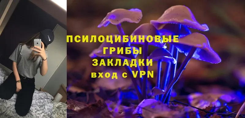 продажа наркотиков  Слюдянка  mega ONION  Галлюциногенные грибы Cubensis 